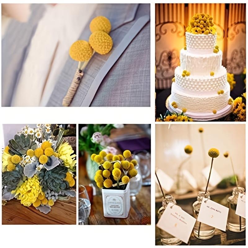 20pcs Golden Ball Dried Flowers Preserved Flowers Home Decoration Natural Dried Flowers