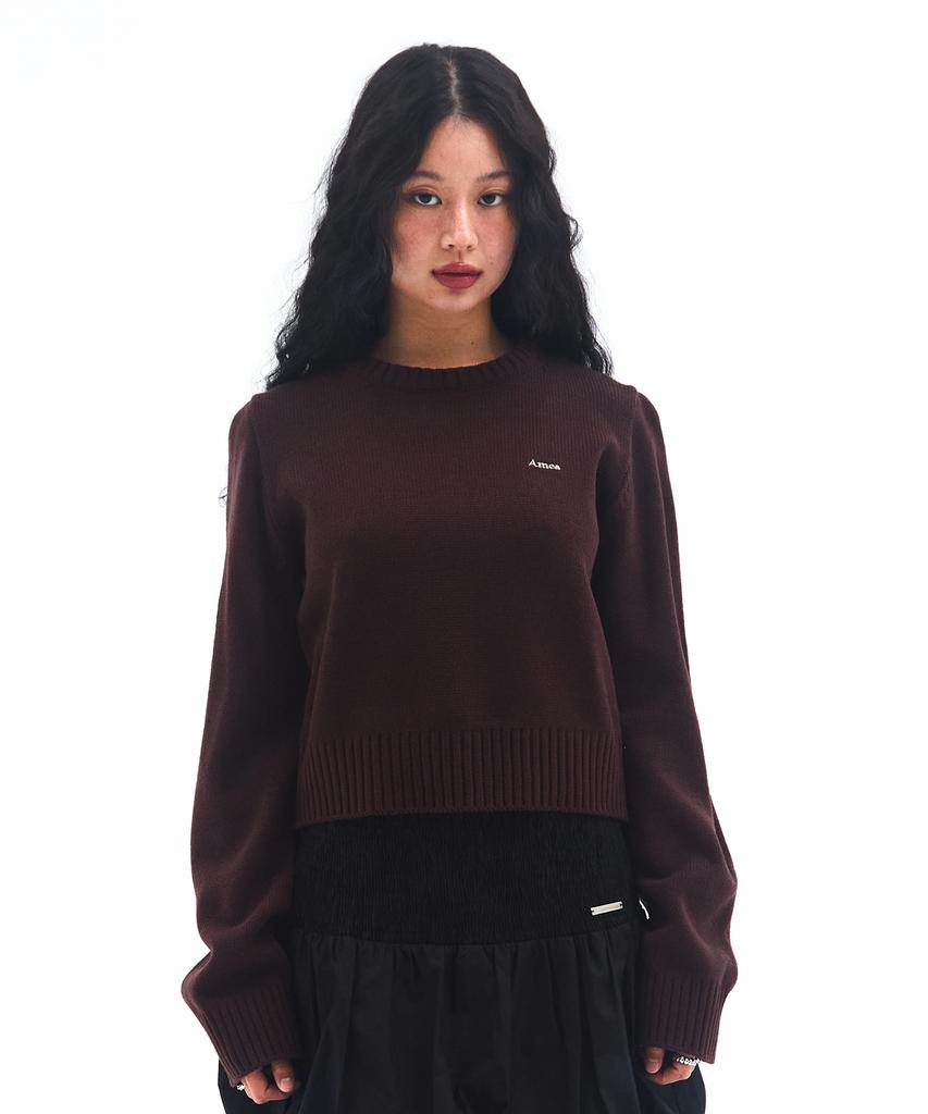 AMES-WORLDWIDE Basic Small Logo Knit Brown