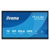 IIYAMA 75' LED