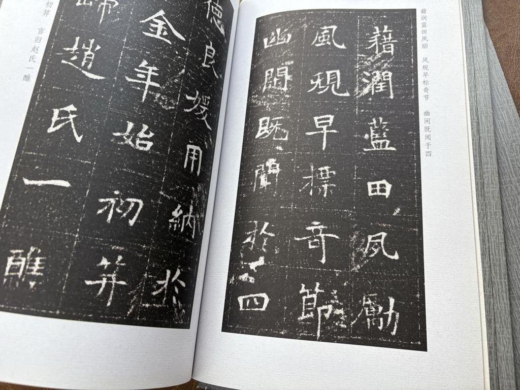 [USED] A collection of seven calligraphy books, including calligraphy works, rubbings, Chinese calligraphy, calligraphy, and inscriptions.