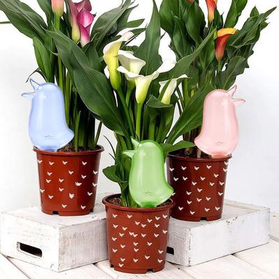3 Pcs Self Watering Spikes Bird Shape Automatic Watering Globes Slow Release Plant Watering Bulbs for Indoor Outdoor Plants
