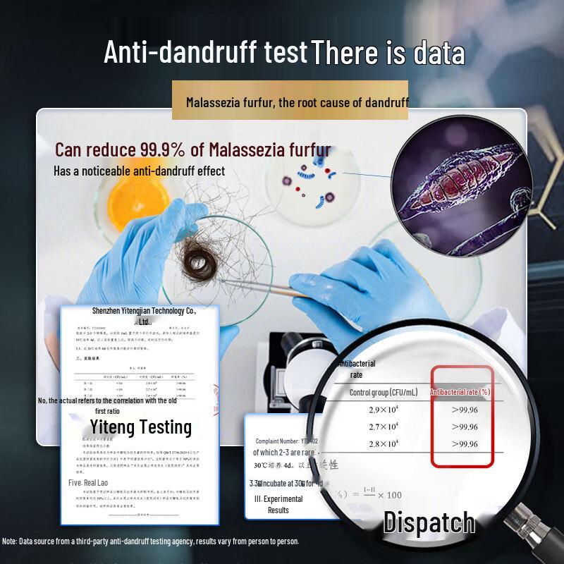 Cai Le Ketoconazole Anti-Dandruff Shampoo