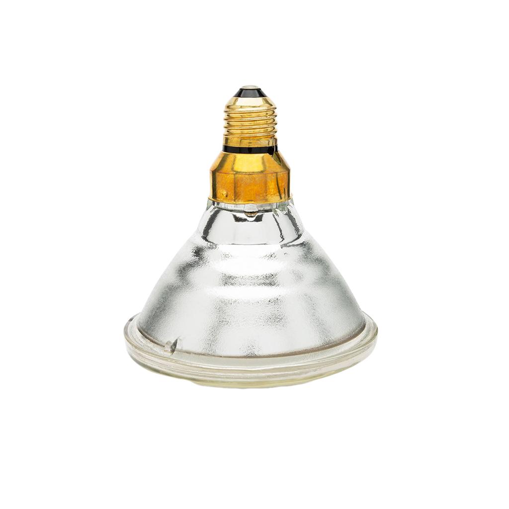 Curalux PAR 38 Bulb buy at low prices in the Joom online store