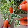 Farm Vegetable Fruit Picker Pickle Pepper Pickle Tip Picker Iron Nail Pick Garden Orchard Grape Picker