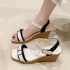 Thick-soled Wedge Sandals Women's Summer New One-word Buckle with Open-toe High Heel with Skirt Fashion Roman Shoes