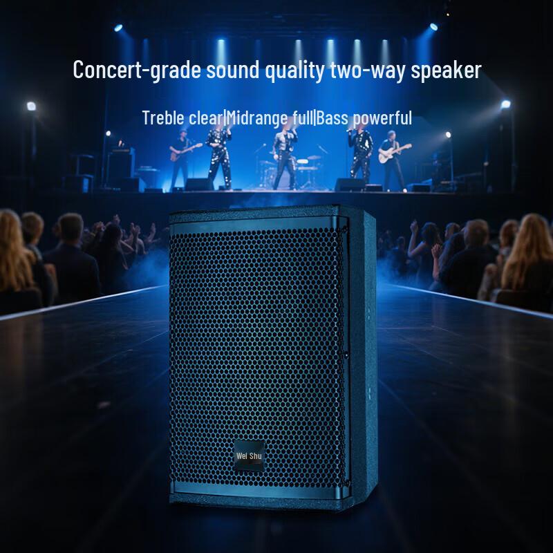 Weishu BM-680 Conference Full-range Passive Speaker (CN Version)