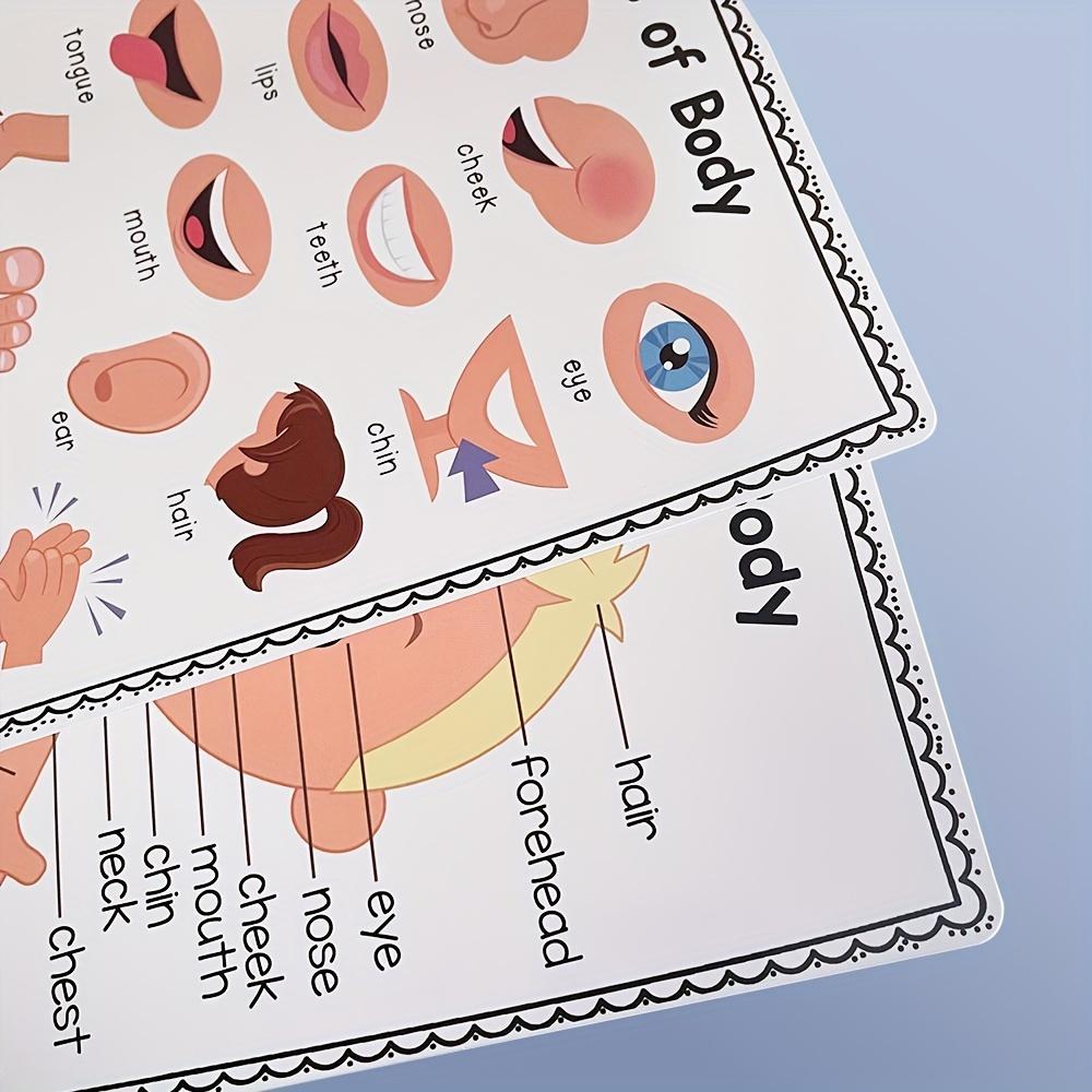 Vzdělávací plakát částí lidského těla pro děti, výuková tabulka anatomie, výuková pomůcka do třídy, laminovaný vizuální průvodce pro mateřskou školu, školu, domov