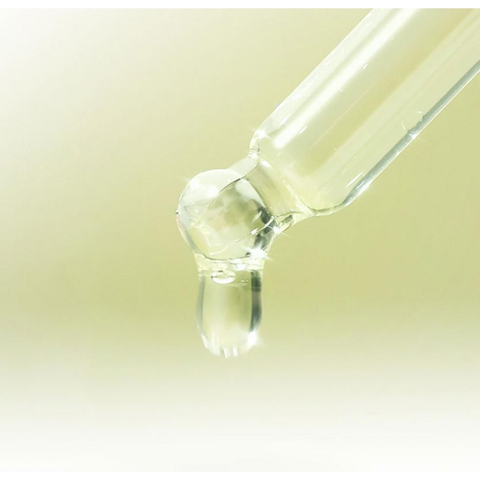 HANYUL Ginkgo Leaf Pore Fit Serum 40ml