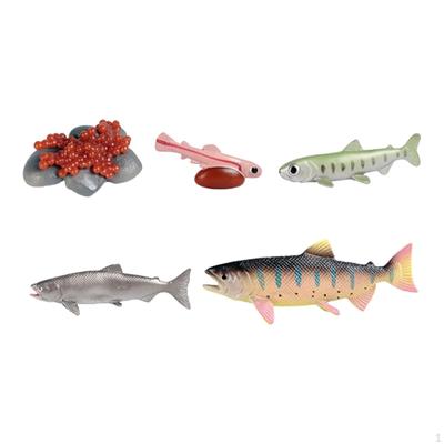 Lebenszyklus von Lachs Spielzeug Montessori Fisch Wachstum Figur Lehre Geburtstagsgeschenke