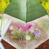 Yousheng Pest Barrier Plant Tent Cover with Stake Outdoor Garden Fruits Vegetables Plant Shade Netting Mesh Cover Bird Animal Protection Guard Cover