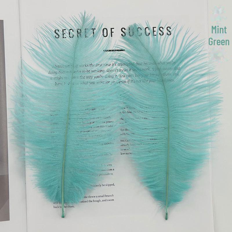 Barevné zavírače na dorty z pštrosího peří a příslušenství