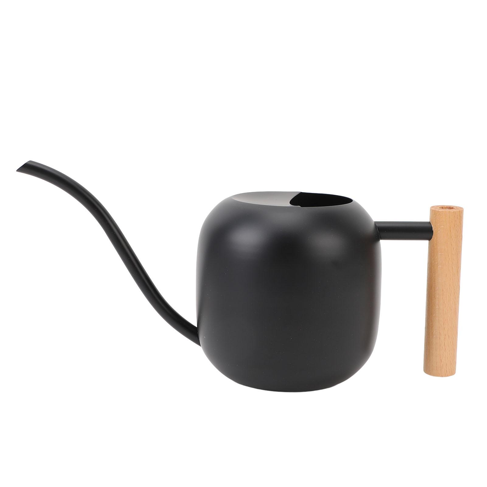 

Indoor Watering Can Stainless Steel Wooden Handle Watering Pot with Spout for House Plants Flowers Succulents Bonsai 1.2L