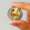 Brooch Pin Retro Golden Horseshoe Design Scratch Resistant Brooch Round Shape Lapel Badge Clothes Accessories