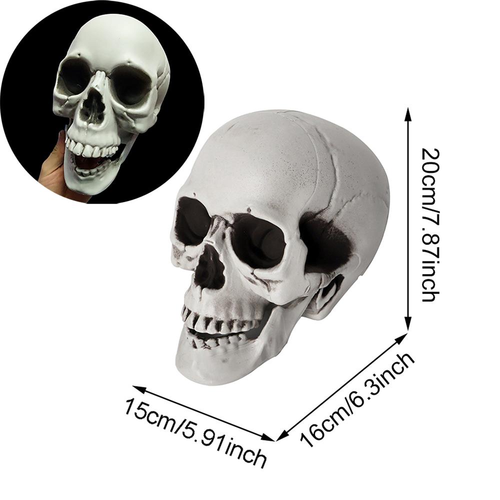 

Украшение Череп на Хэллоуин, Реалистичный пластиковый череп, Голова скелета, Украшение для дома и двора на вечеринку Хэллоуин, Реквизит для ужасов в доме с привидениями