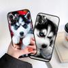 CJ66 Husky Puppy Dog Soft Shell Phone Case for Samsung Galaxy S20 S21 S22 Ultra FE + Plus A21S A22 A24 A25 A26 A30 A30S A31