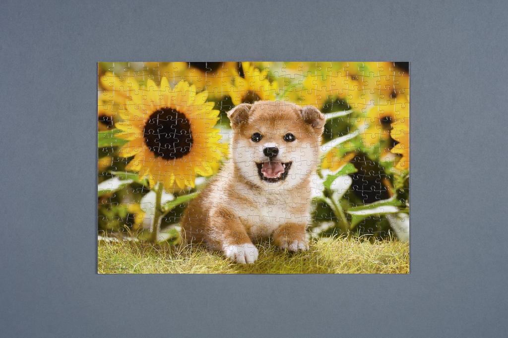 [Made in Japan] Beverly 300-Piece Jigsaw Puzzle: Sunflowers and Me (26 x 38 cm) 300-064