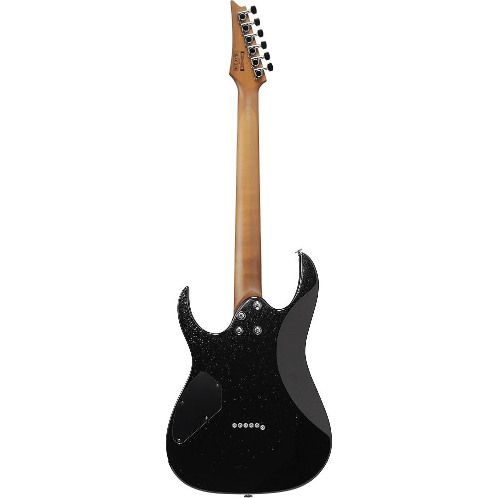 Ibanez (Ibanez) GIO series electric guitar Black Night GRG121SP-BKN