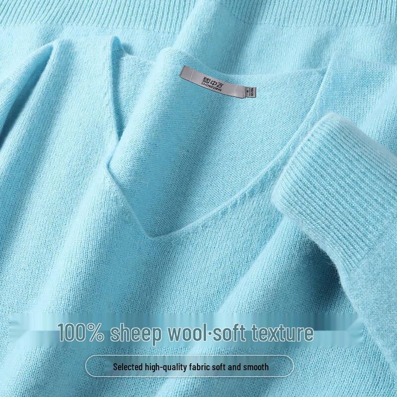 SNOWFLYING Women's 100% Merino Wool V-Neck Basic Knit Sweater