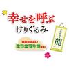 Petio Cat Toy, Happy Kicking Plush Dragon