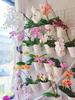 Wall-Mounted Orchid Hanging Flower Basket