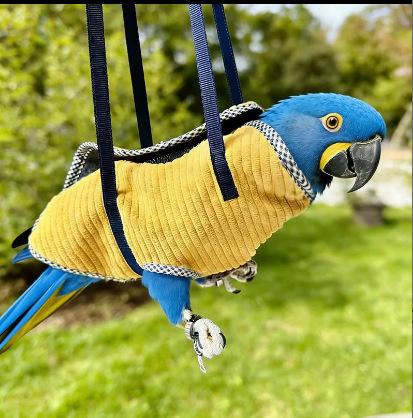 Parrot Anti Fly Outdoor Bird Walking Bag Frees Hands Xuan Feng Tiger Skin Peony Portable Outdoor Artifact Outdoor Handheld