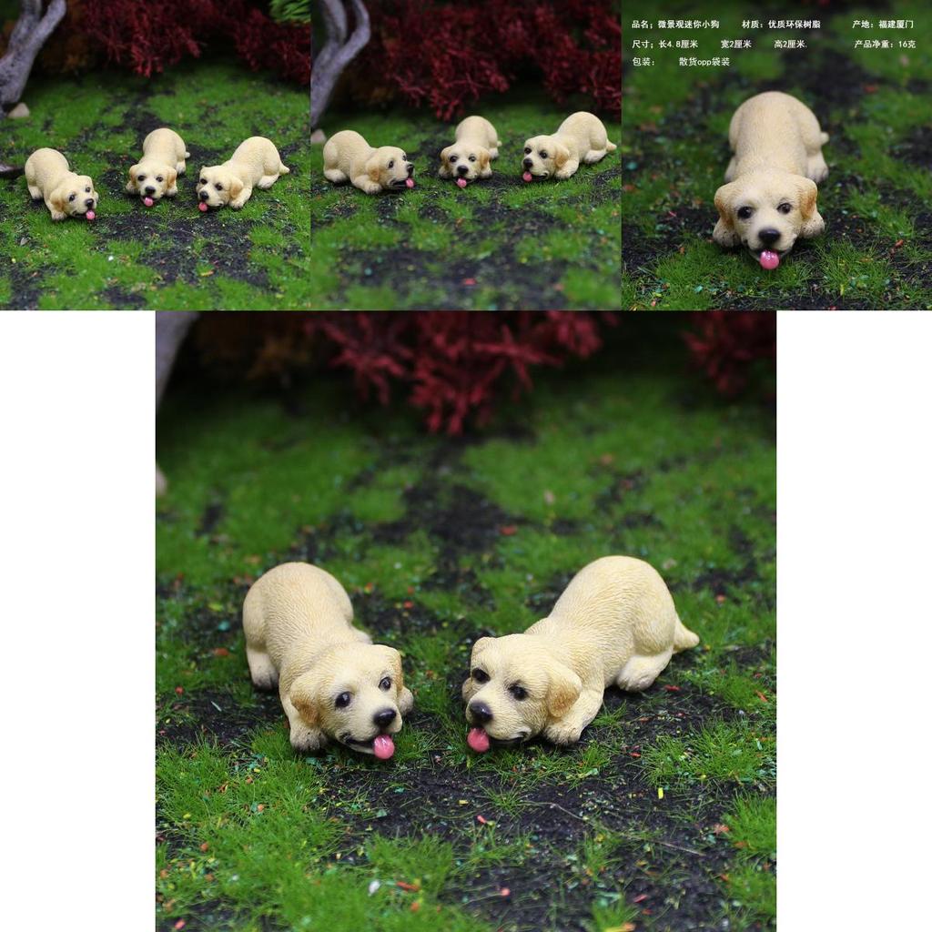 Garden Resin Pet Figurine With Labrador Indoor Decoration Accessories