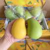 Ręcznie robiona piłeczka antystresowa mango, zabawka Fidget, chrupiąca piłeczka do ściskania, okrągłe klocki wypełnione, zabawki antystresowe ASMR dla dorosłych