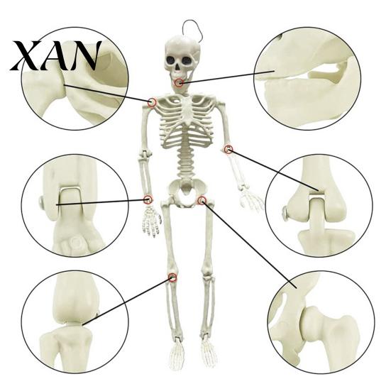 Sturdy Skeleton Figure for Garden Landscaping Halloween Decoration, 3Ft Life Size Full Body Human Bone, Realistic Posable Secret Room with Movable