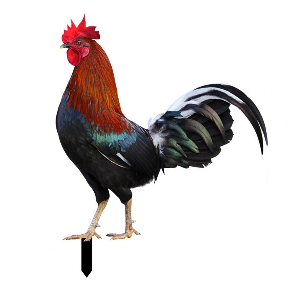Ornamental Eco-friendly Rooster Decor Garden Statue Chicken for Garden