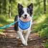 Summer Outdoor Dog Cooler Cooling Bandana, Breathable Self-Cooling Neck Wrap, Pet Cold Water Activated Bandana Cooler, Heatstroke Prevention Kerchief