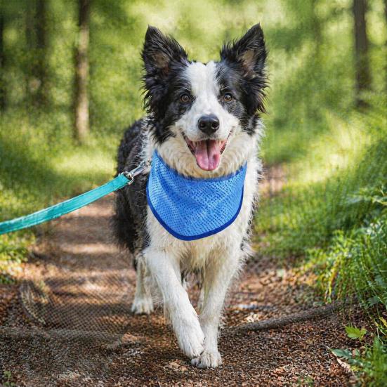 Summer Outdoor Dog Cooler Cooling Bandana, Breathable Self-Cooling Neck Wrap, Pet Cold Water Activated Bandana Cooler, Heatstroke Prevention Kerchief