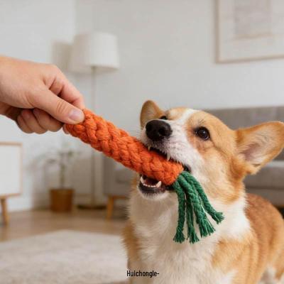 Köpek – Köpek oyuncakları