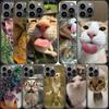 Haustier Katze Lustige Memes Handyhülle Für Apple Iphone 16E 16 Pro Max 15 Plus Weich 13 12 Mini Hülle 11 14 Pro Max Capa 8 7 SE Schale Coq