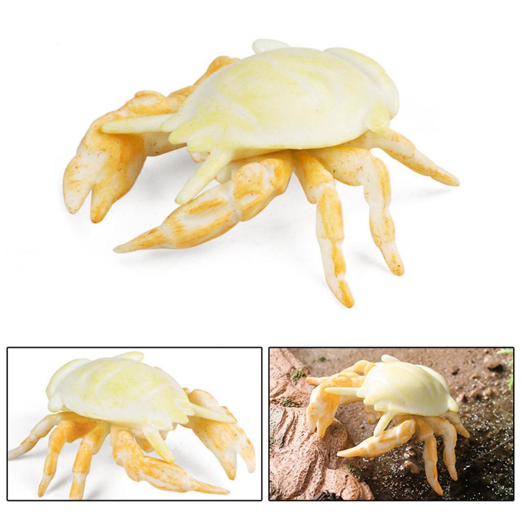 Mehrere Arten von Plastikfischmodell-Spielfiguren für die Landschaftsfischerei im Aquarium, Fischmodell, Landschaftsfischaquarium, Schreibtisch, Fischglas-Dekoration