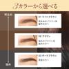 D-RAY D-Eyebrow Pencil (Light Brown) - Long-lasting, Easy To Apply, Waterproof Eyebrow Pencil. Available In 3 Colors: Light Brown, Brown, and Dark