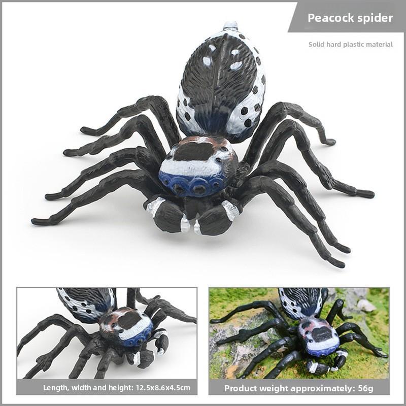 Spider Model Set With Plastic Material For Home Decor And Gift For Nature Lovers