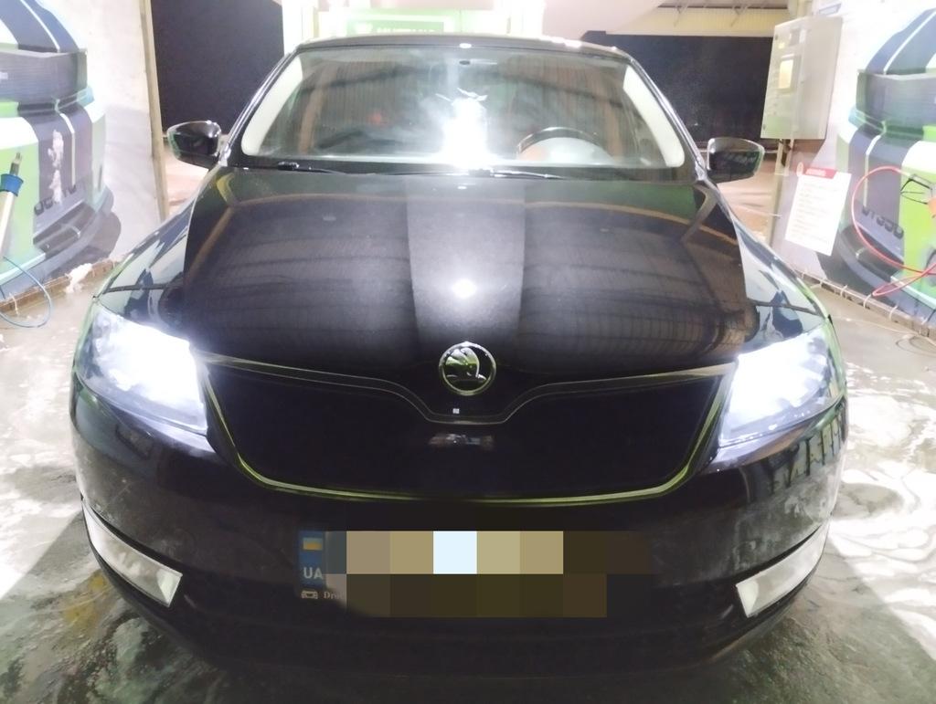 

winter grille (upper) Glossy for Skoda Rapid 2012-2019