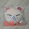 [USED] Skzoo Straykids Ien Cushion