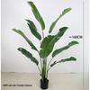 Large Monstera Banana Leaf Plant for Indoor Display and Corner Landscaping