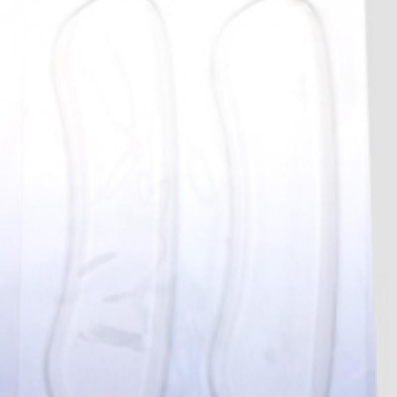 Daiso Pu Shoe Heel Pads  Pack Of 2