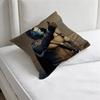 Cayde  Witness DDestiny Square Pillow Case Soft Decorative Throw Pillow Cover for Home Sofa Bed