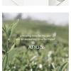 Anua Heartleaf 80 % beruhigende Ampulle