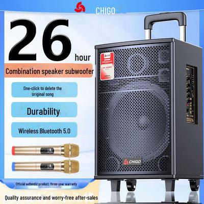 Chigo High-Power Outdoor Bluetooth Trolley Speaker for Music & Karaoke