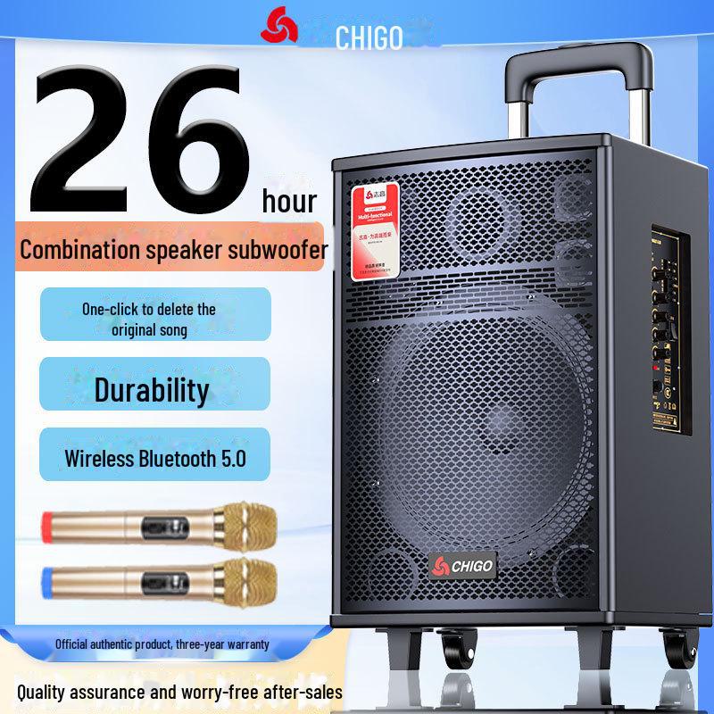 Chigo High-Power Outdoor Bluetooth Trolley Speaker for Music & Karaoke