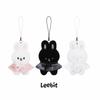 (FÖRBOKA) Stray Kids SKZOO SECRET PLUSH MICRO Ver. - KÖR IGÅNG
