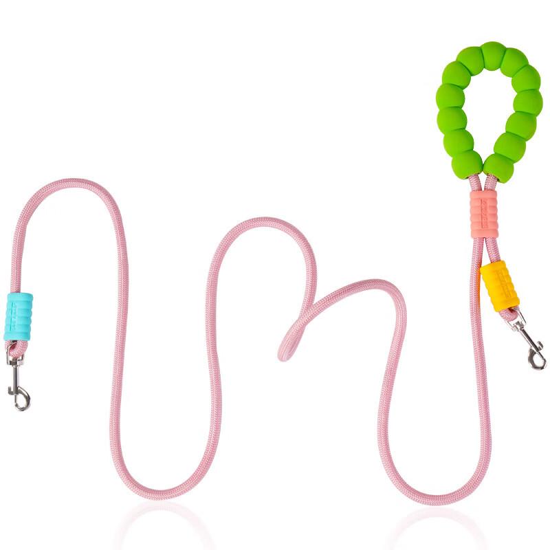 Pet Dog Leash 2-Pack