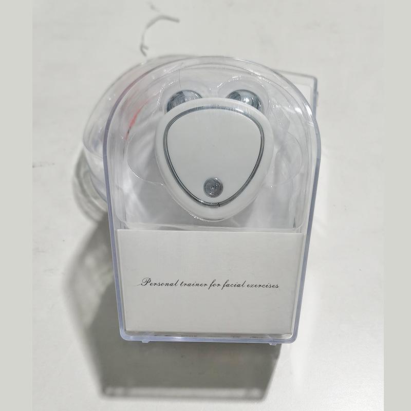 Rechargeable Double Roller Microcurrent Facial Massager