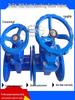 Z45X-16Q Ductile Iron Rising Stem Flanged Gate Valve with Soft Seal Elastic Seat for Fire Hydrant and Sewage Applications