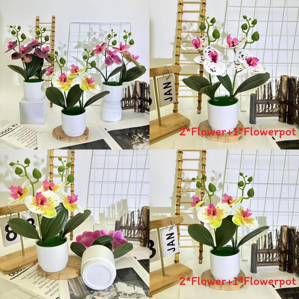 Butterfly Orchid 3d Faux Plant Decor With Plastic Material For Home And Event Use