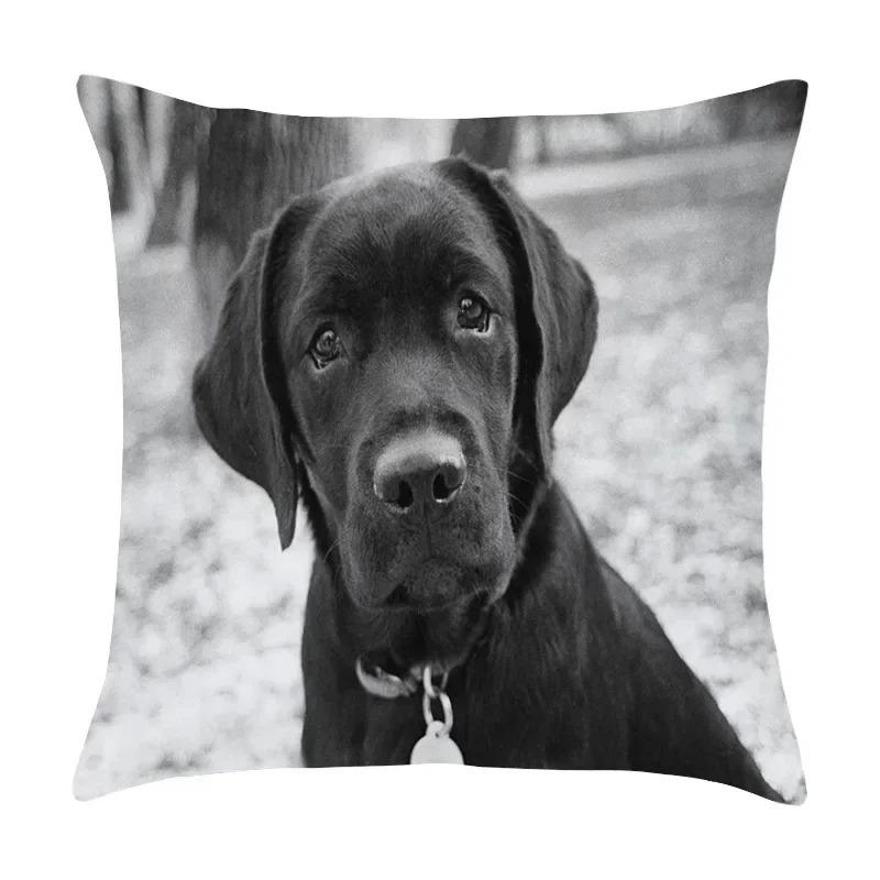 Cute Pet Puppy Black and White Art Photo Office Sofa Cushion Pillowcase